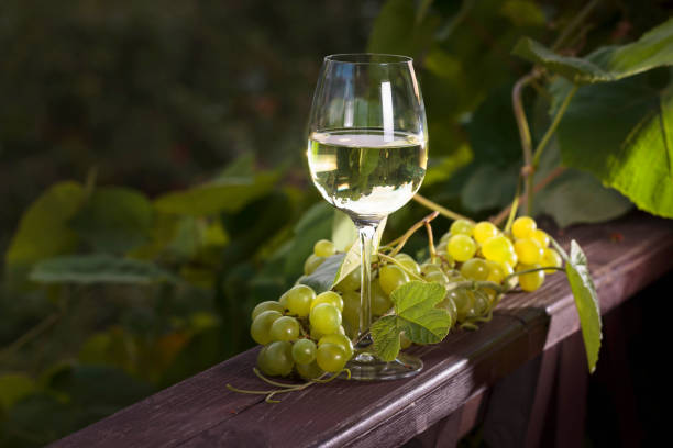 Dry white wine